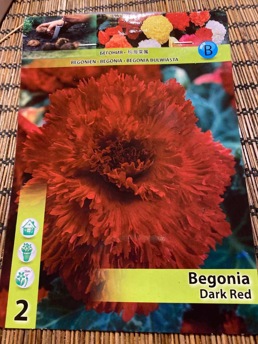 На фото очень красивые цветы. Везде фото автора.