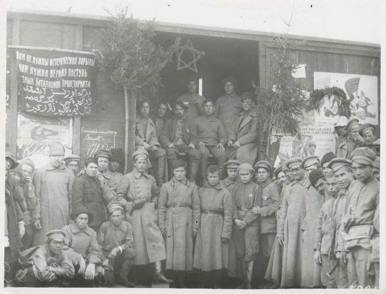 царицын. 1919 дивизии. командир щорс. железная дивизия западная добровольческая армия. 1919 дивизии.