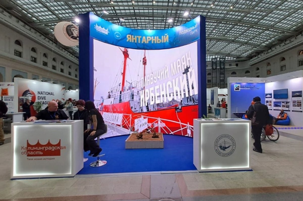    Проект подводного музея представили на водной выставке Moscow Dive Show