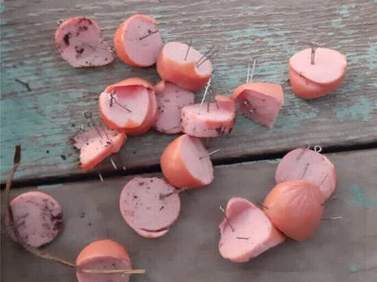     фото вк "Подслушано во Владимире"