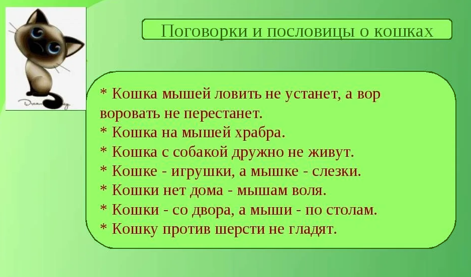 Кошка значение слова. Наречие на какие вопросы отвечает 4 класс. Рассказ о слове кошка 3 класс проект по русскому. Кот котик однокоренные слова. На какие вопросы отвечает наречие.