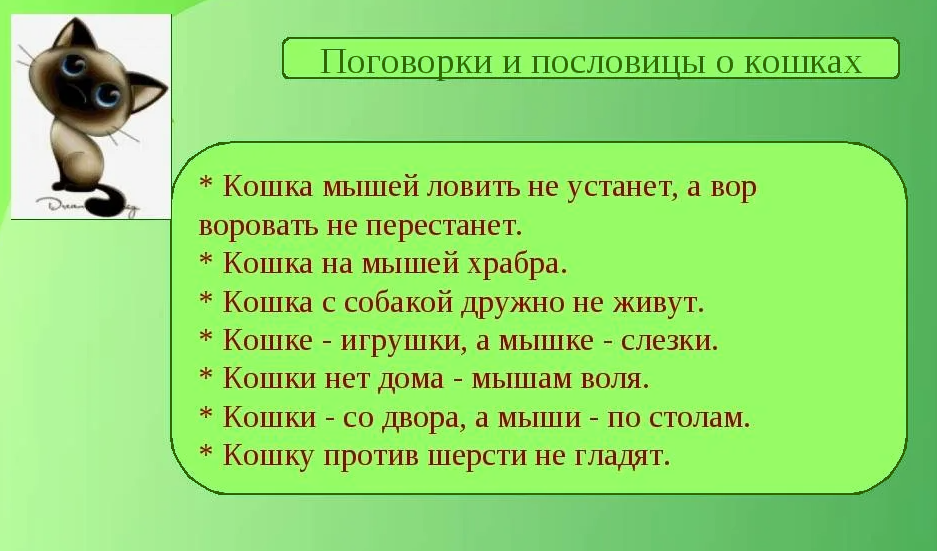 Предложение слово мышь