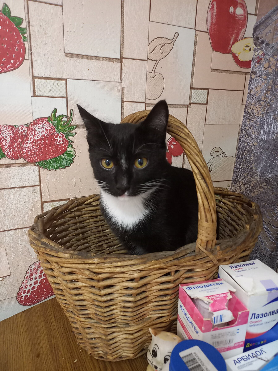 Когда в корзине лучше 