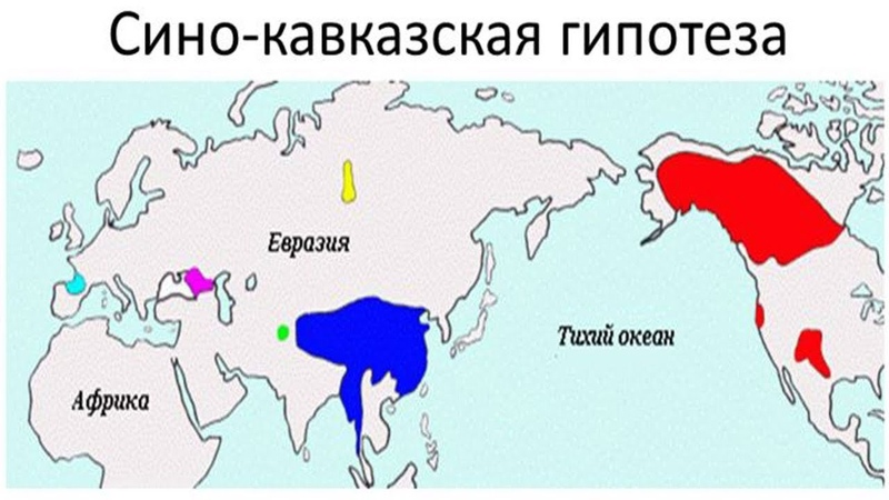 Языковая семья языков народов дагестана. Сино-кавказские языки. Сино-Кавказская макросемья. Сино-Кавказская языковая семья. Кавказская языковая семья карта.