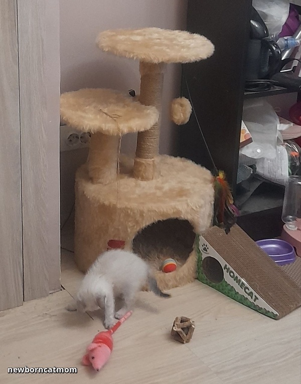 Что же выбрать сегодня для игры?