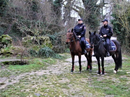 Инспекторы Управления особо охраняемых природных территорий впервые провели плановое обследование природного парка «Максимова дача» совместно с конной полицией.