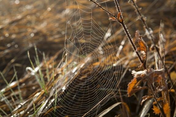    © Nikolay Gyngazov, Global Look Press
