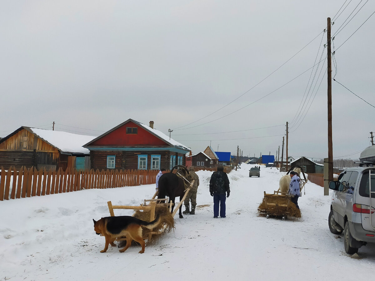 Прогулки по НСО. Юрт-Акбалык: в гости к чатским татарам | Неугомонная  сибирячка | Дзен