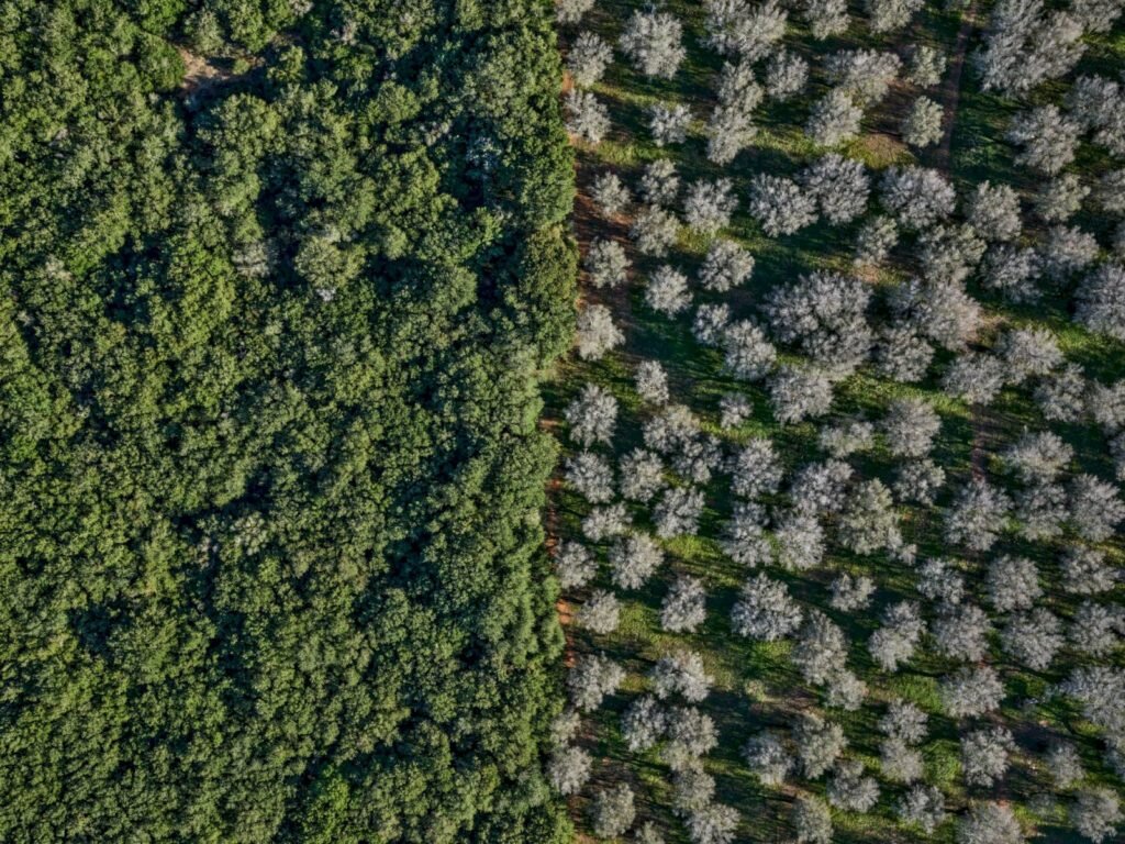    Фото: Edward Burtynsky