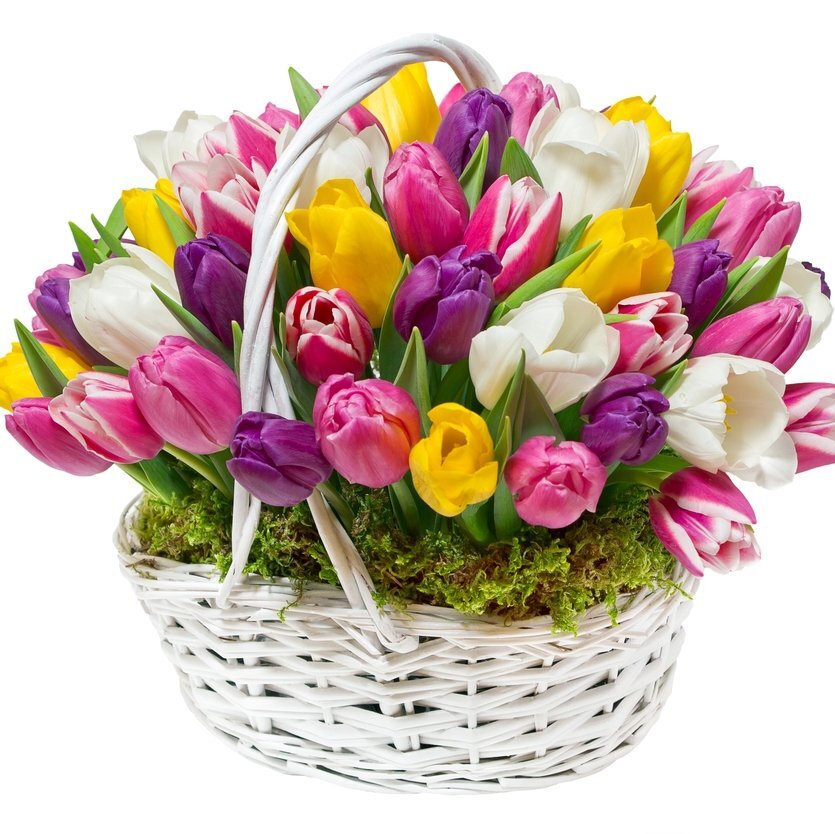 Яндекс. Картинки