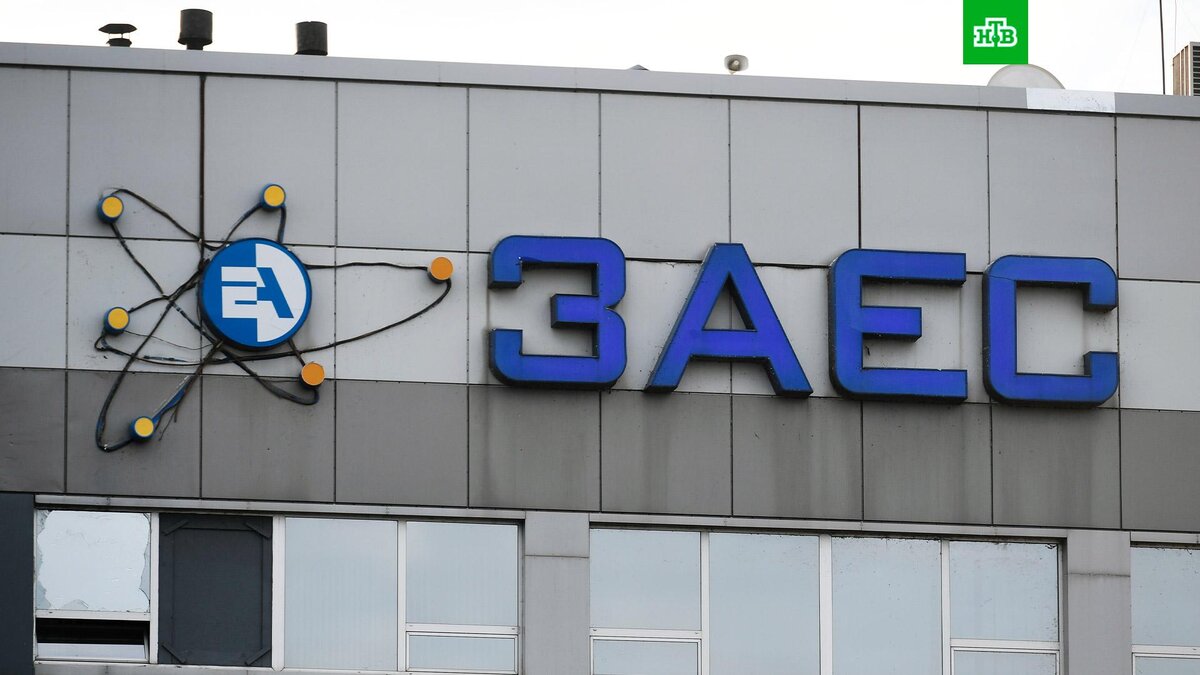    Фото: РИА Новости © 2023, Константин Михальчевский