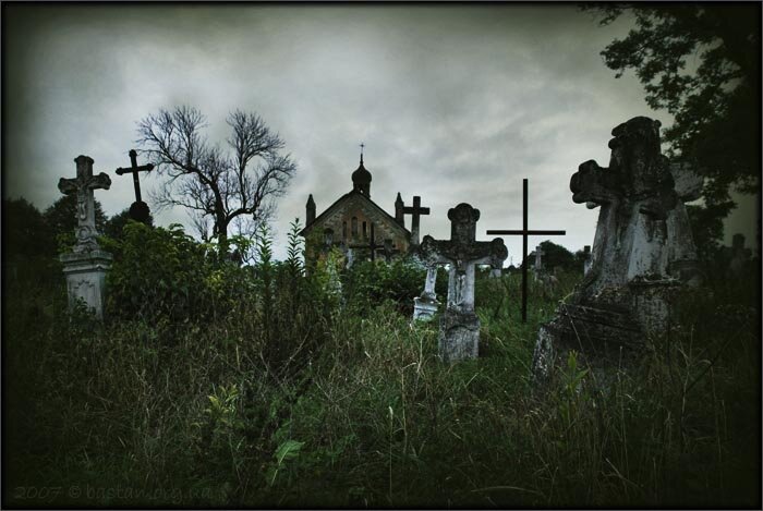 Фото из интернета 