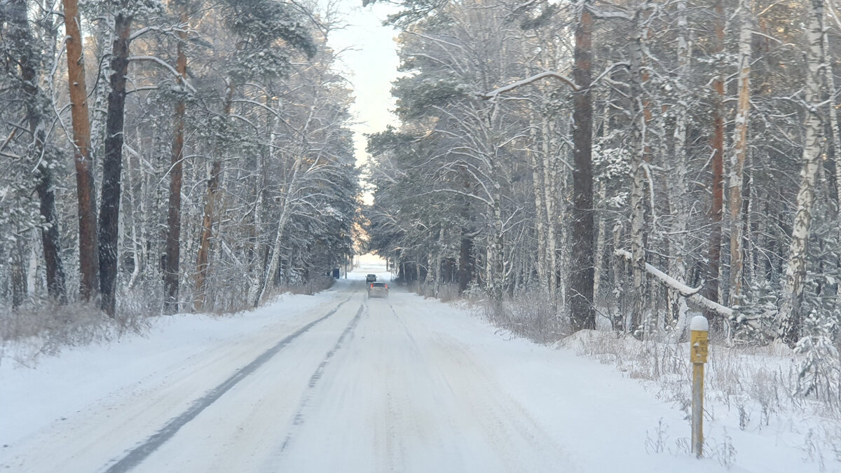 Снежная дорога среди леса. Фотография из личного альбома автора статьи
