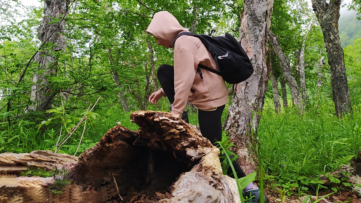 Разобрался для кого вводят изменения в северных надбавках | ПРАВОЗНАЙ ...