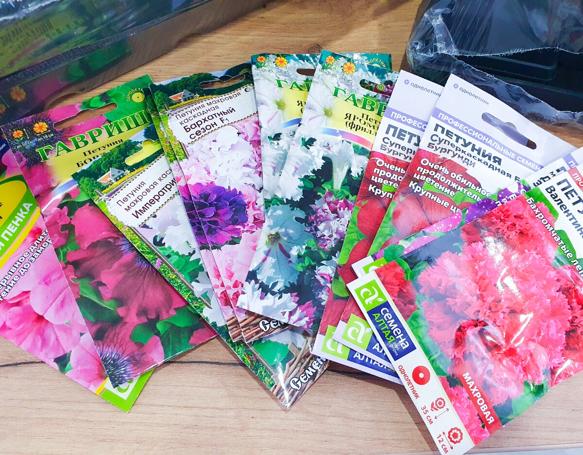 У меня семена - самые простые в этом году. Хотя лукавлю, заказал себе 3 пакетика дорогих новинок этого года, потом покажу