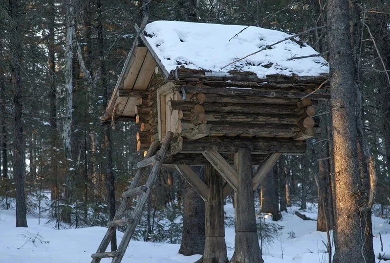 Заснеженный лес с избушкой на курьих