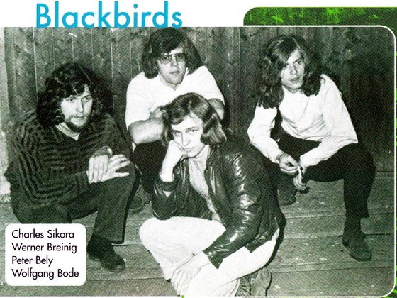 Группа Blackbirds