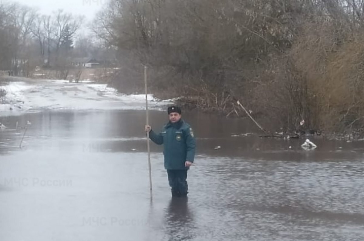    В Орловской области из-за потепления подтопило низководный мост