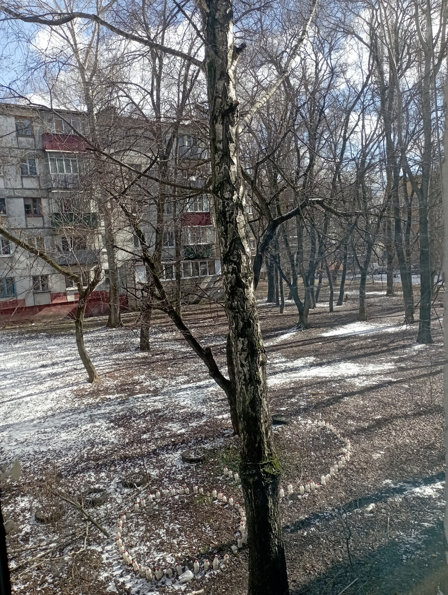 Личное фото автора. 