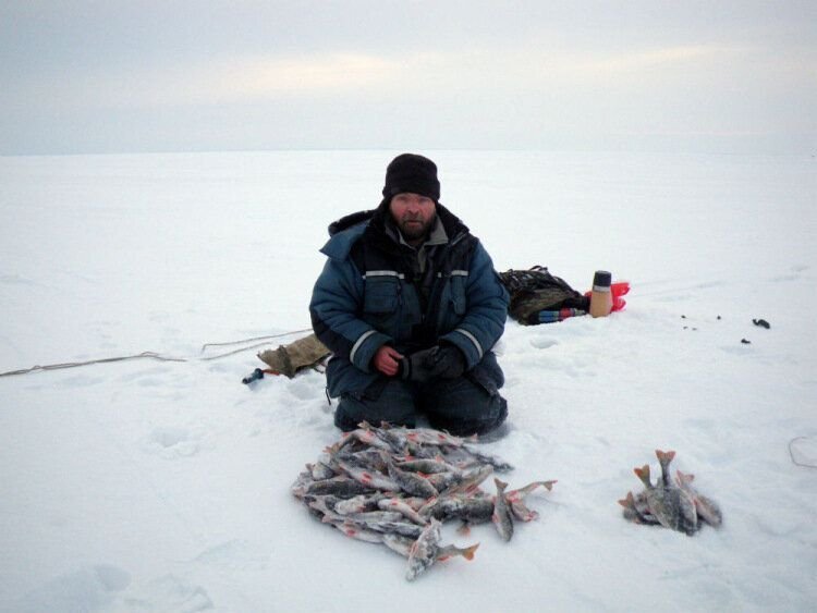 Зимняя рыбалка. Рыбаки на льду. Рыба на льду. Зимняя рыбалка блеснение. Приятеля на рыбалку