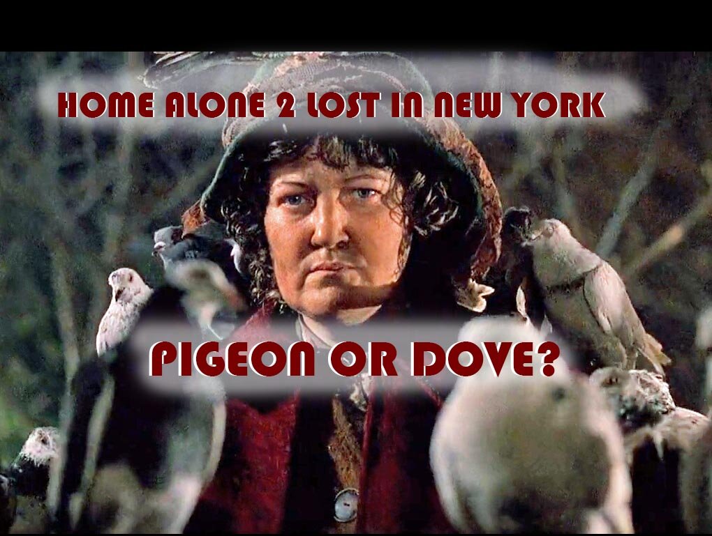 pigeon or dove