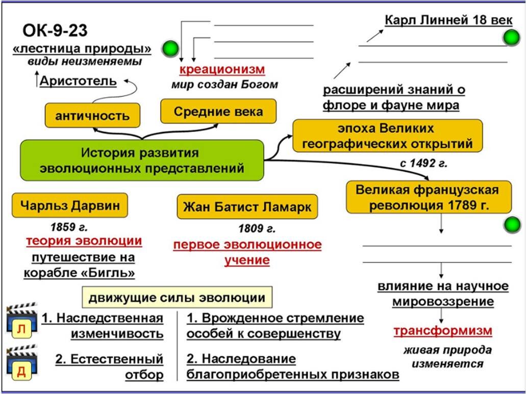 История развития эволюционных теорий