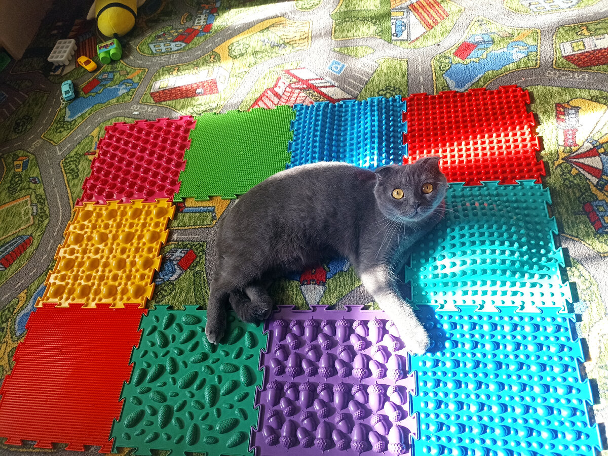 Зато котейке хорошо. Массажную подушку себе нашёл 