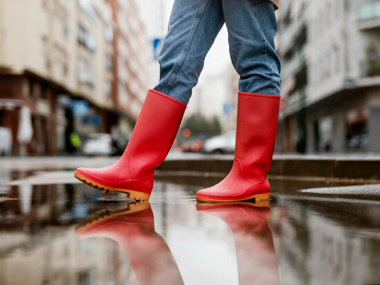     Фото: freepik.com.