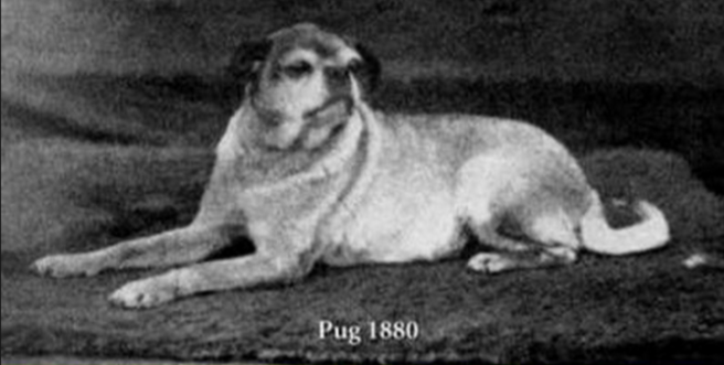 Источник: pikabu.ru