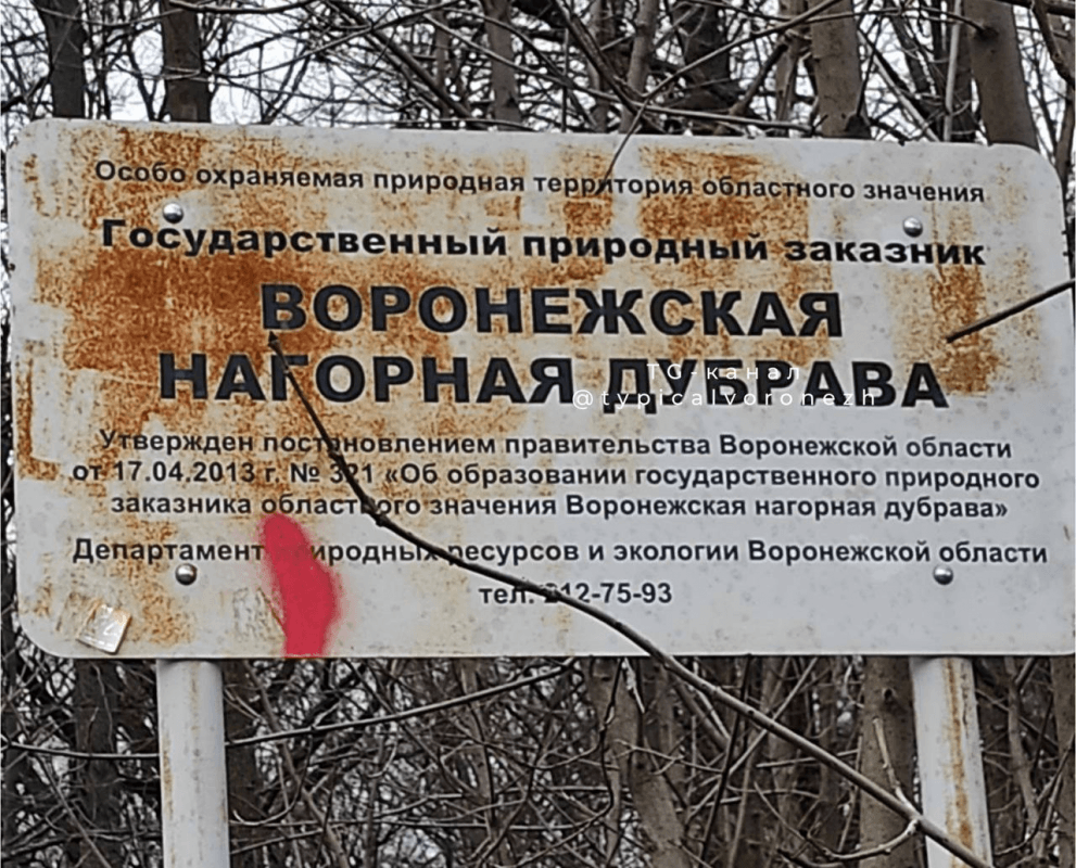    Фото: «Типичный Воронеж | Новости Воронежа»