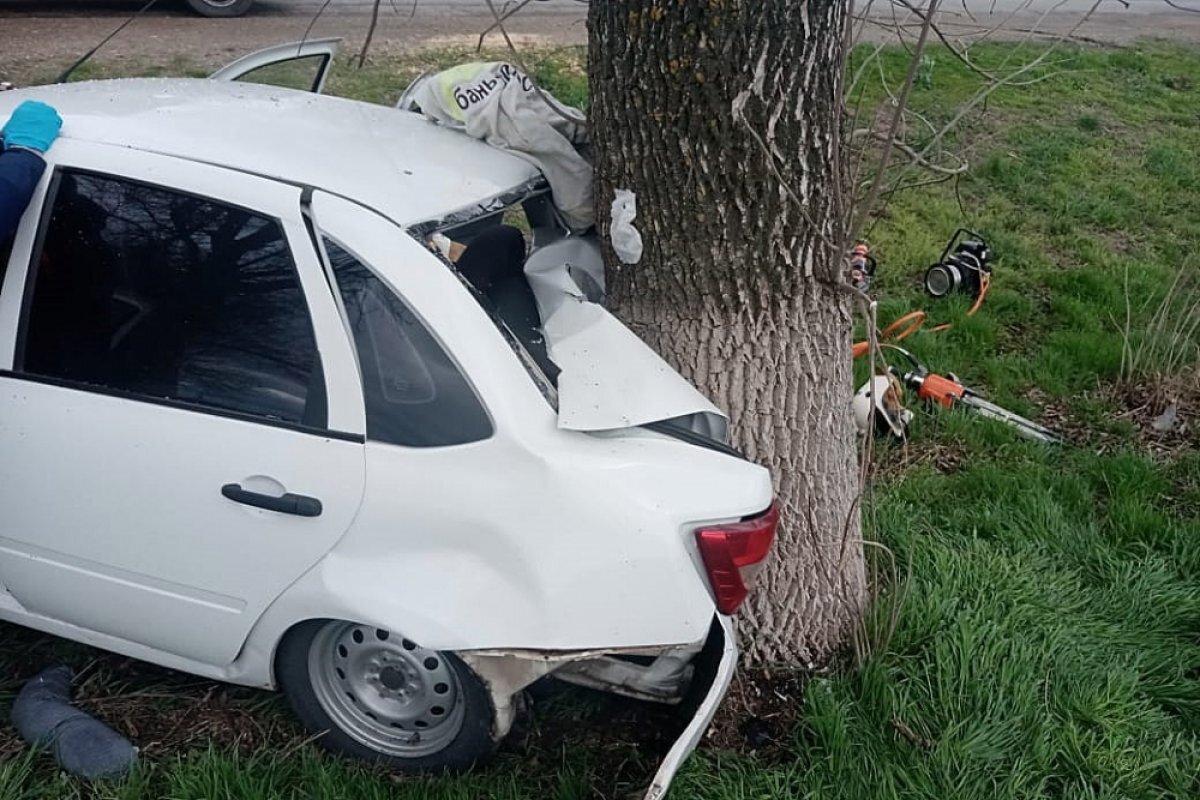 На Кубани на трассе Павловская - Махачкала водитель Lada врезалась в дерево  | АиФ-Юг | Дзен