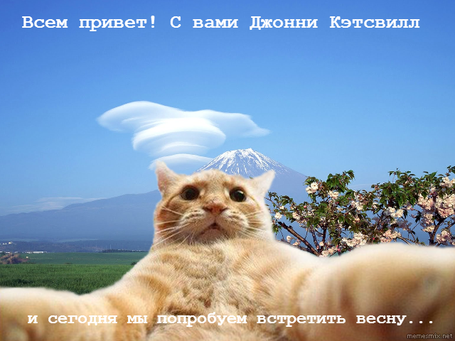 Всем привет с вами андроид. Джонни Кэтсвилл. С вами Джонни Кэтсвилл. Привет с вами кот. Кат свил.