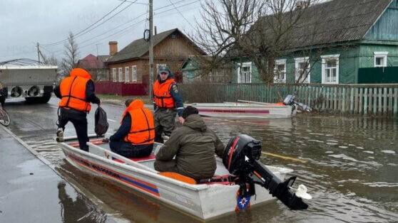    В Брянской области 708 домовладений попали в зону подтопления Дарья Смирнова