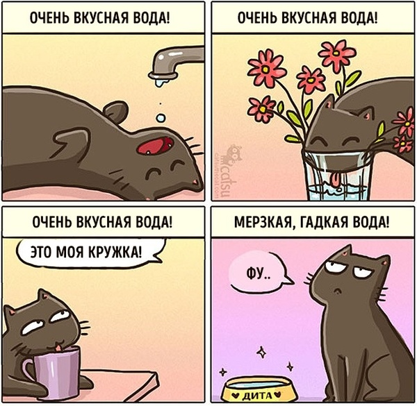 Источник: https://www.instagram.com/catsuthecat/ 
