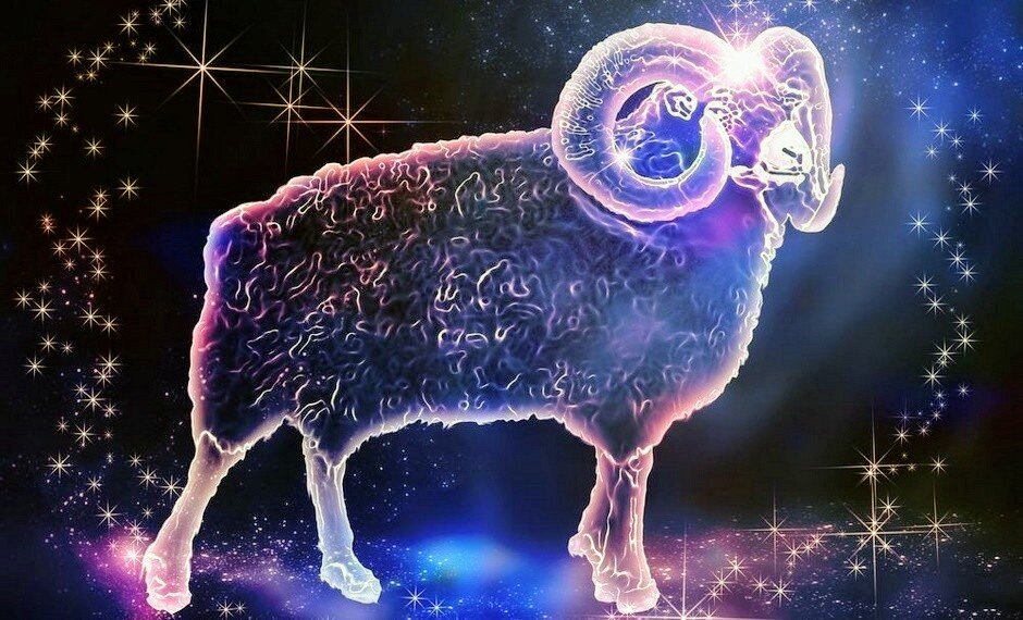 Овен. Фото взято из открытых источников