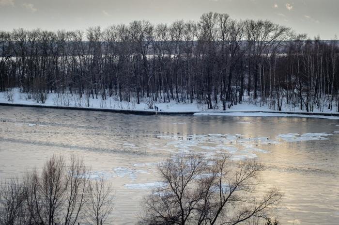 Щукинский полуостров. Фото: https://mosyabloko.ru