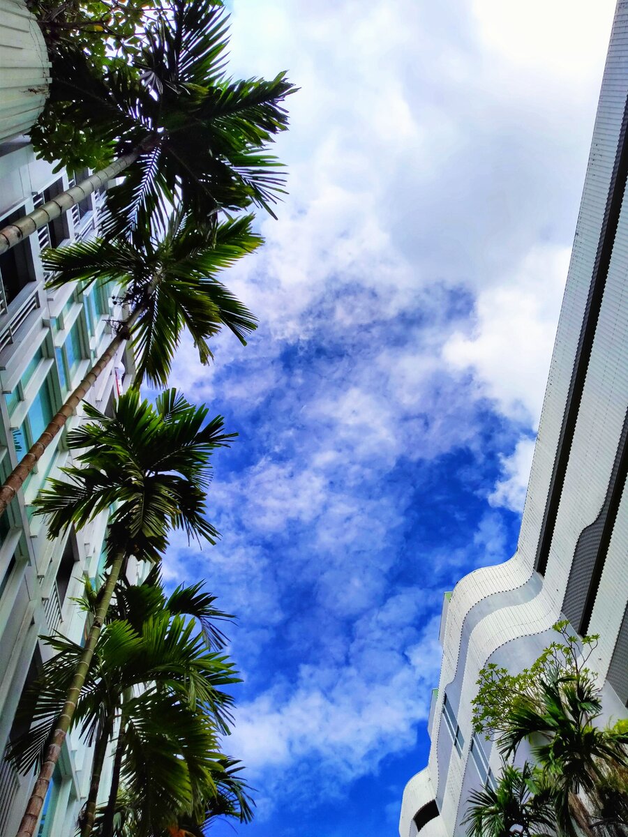 Когда в бассейне решила посмотреть наверх (ФОТО АВТОРА) Листайте дальше