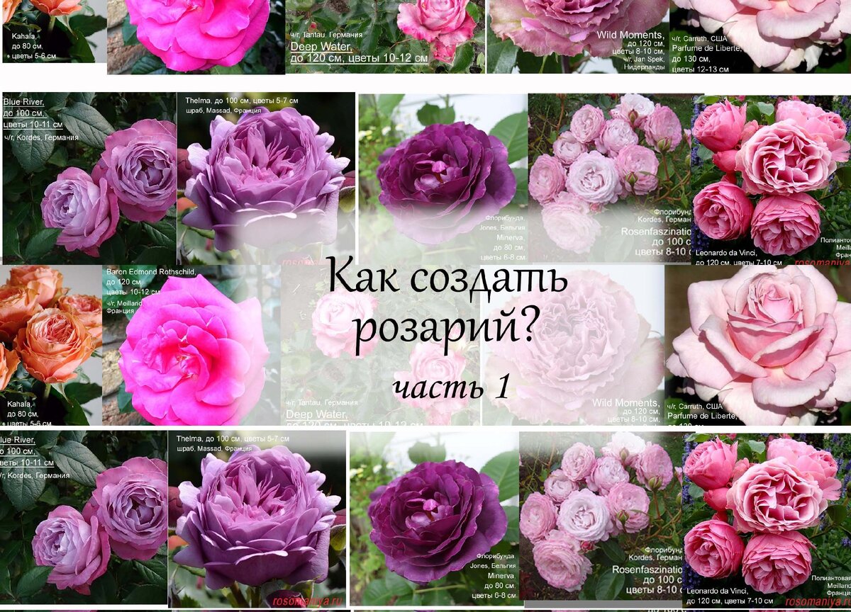 Магазин цветов в Москве