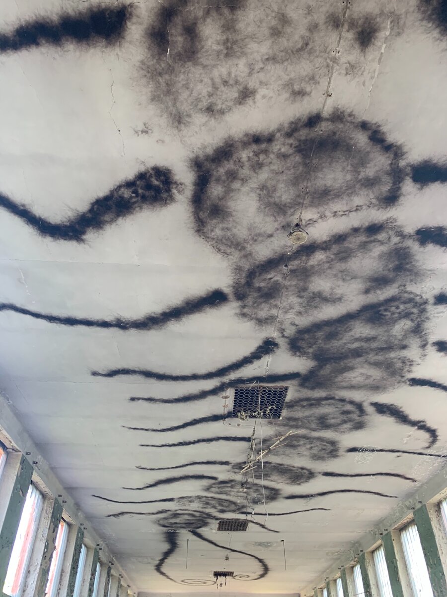 Сколопендра выжжена на потолке заброшенного спортивного зала. 