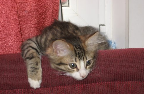 Вот такой ребенок к нам приехал