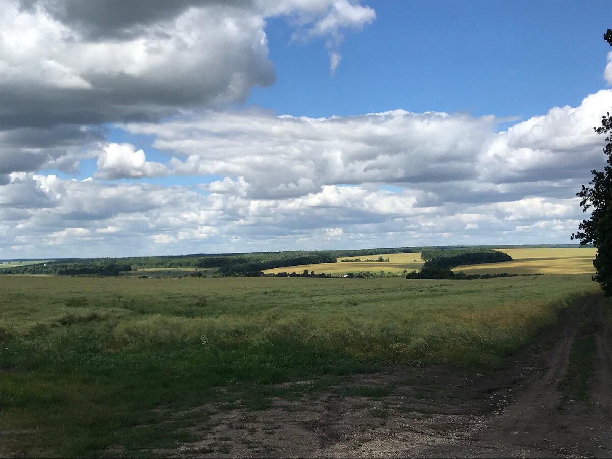 Природа Липецкой области из личных архивов