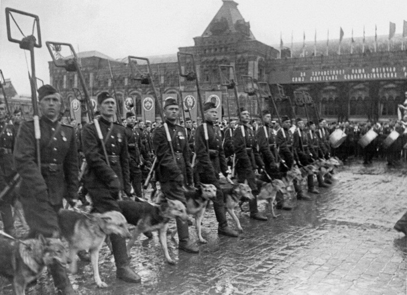 Из свободного источника