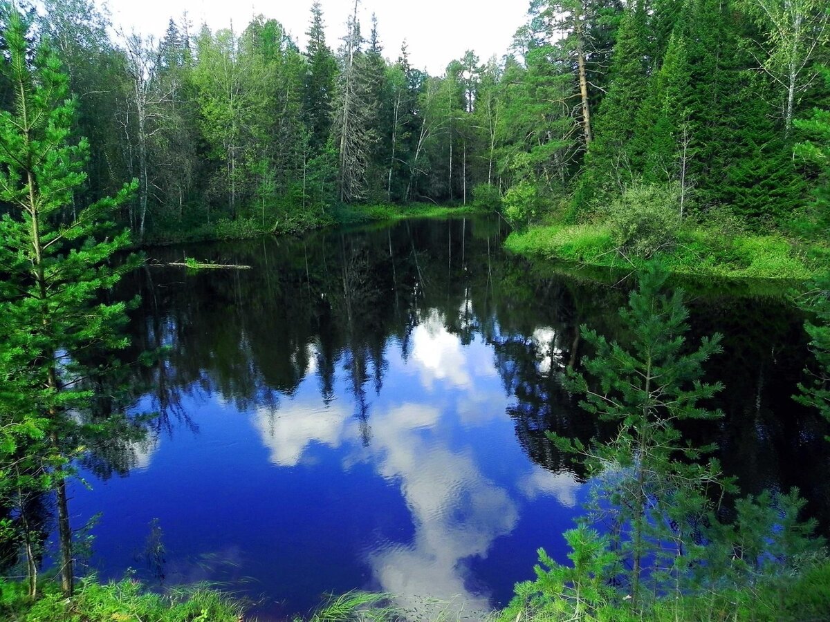 река алина в восточной сибири