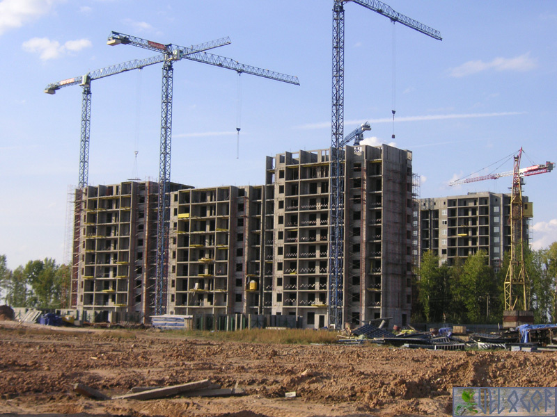 3 фото, подросший хороший