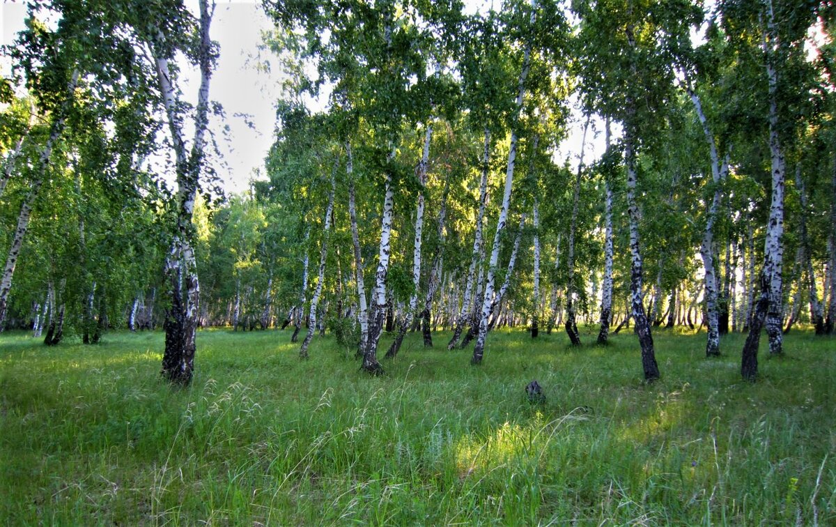 Фото автора.