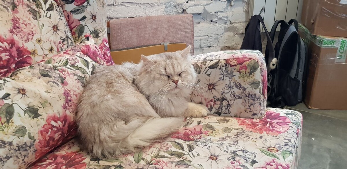 Питер