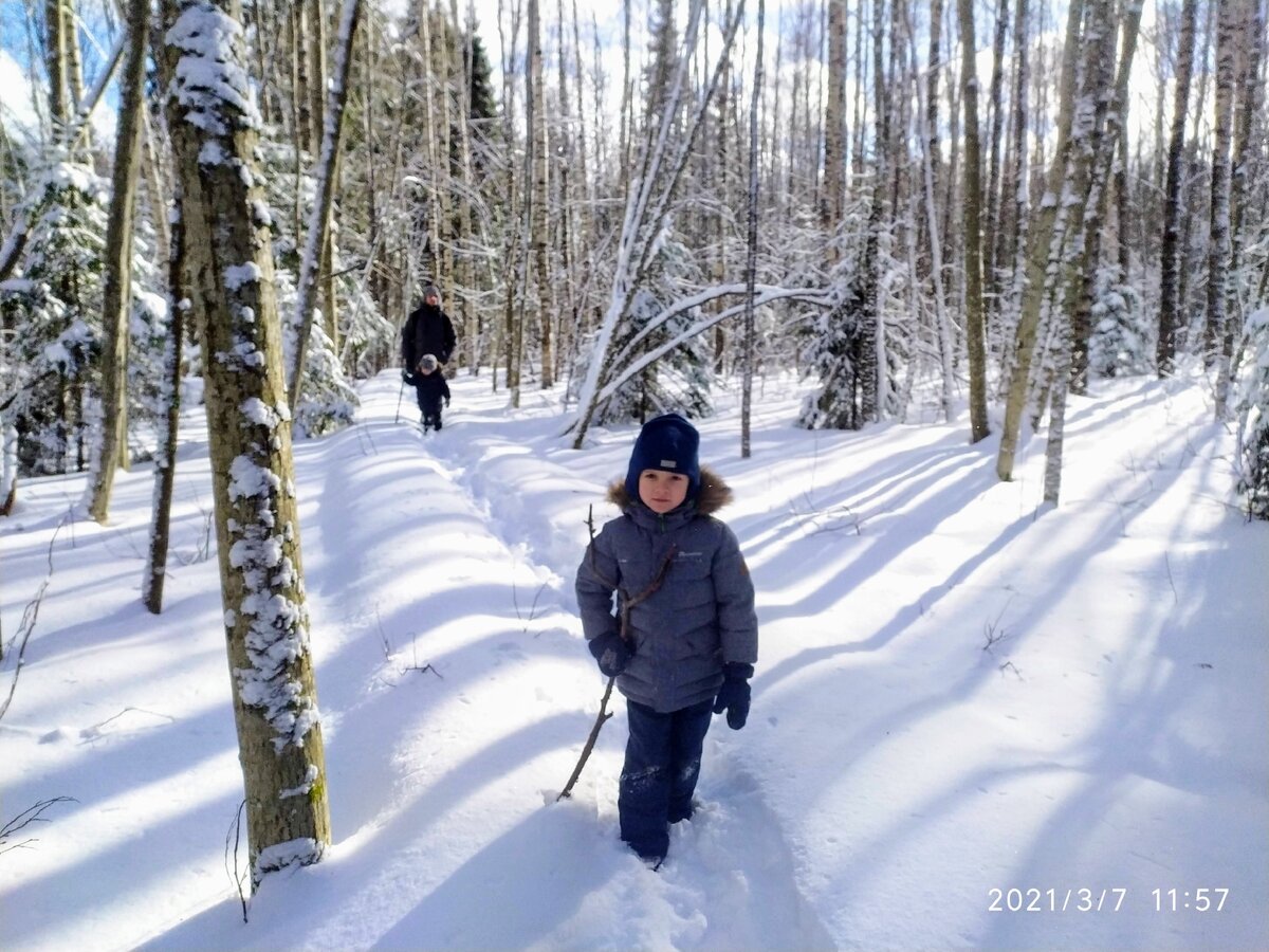 Снега много, деревянных тропинок совсем не видно.