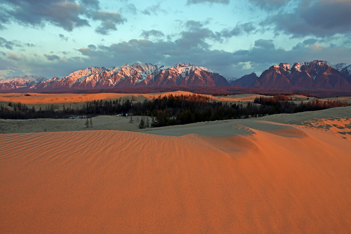 На рассвете барханы обретают багровые оттенки