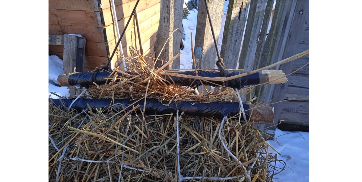 Рептух. Фото автора