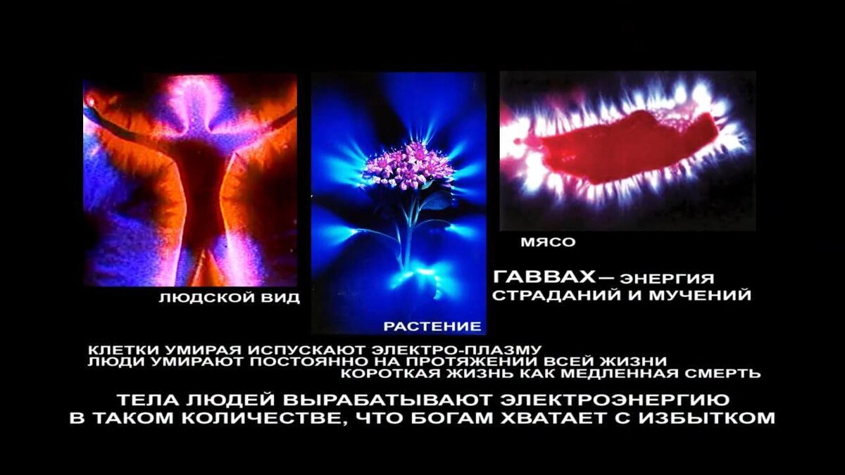 Фото из интернета